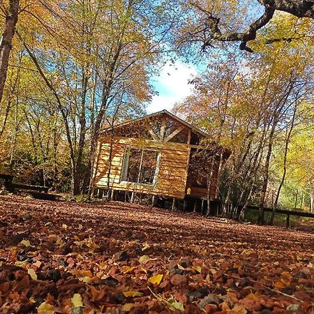 Cabanas Huilipan Las Trancas Esterno foto