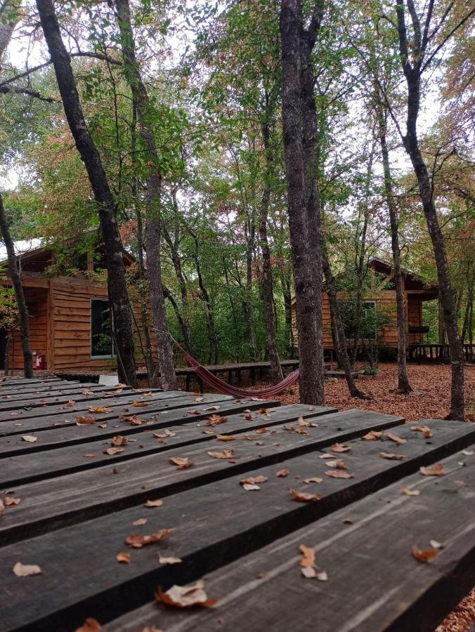 Cabanas Huilipan Las Trancas Esterno foto
