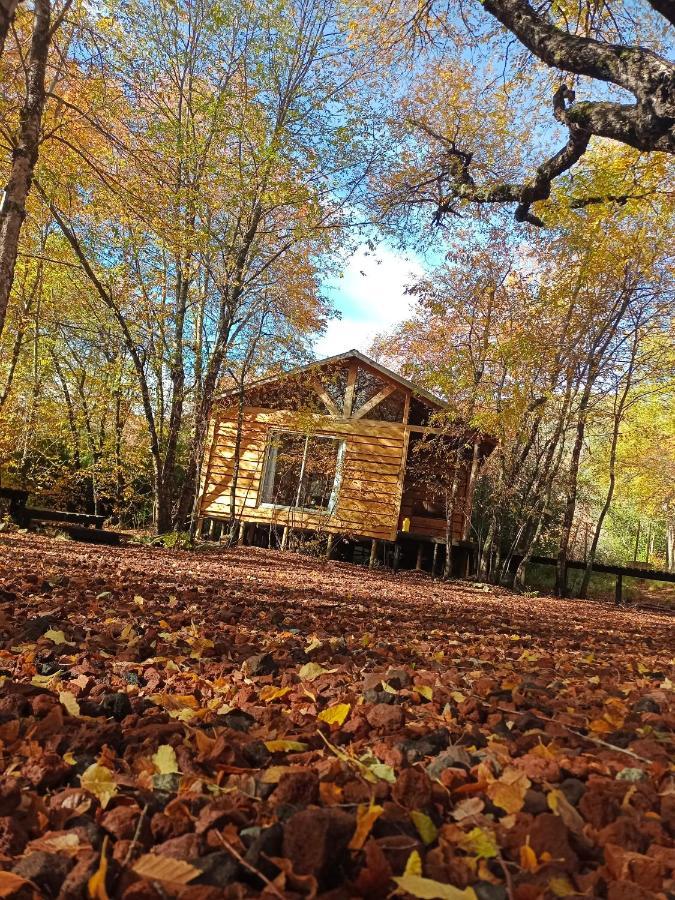 Cabanas Huilipan Las Trancas Esterno foto