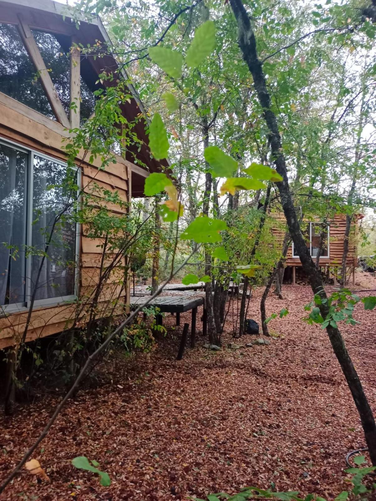 Cabanas Huilipan Las Trancas Esterno foto
