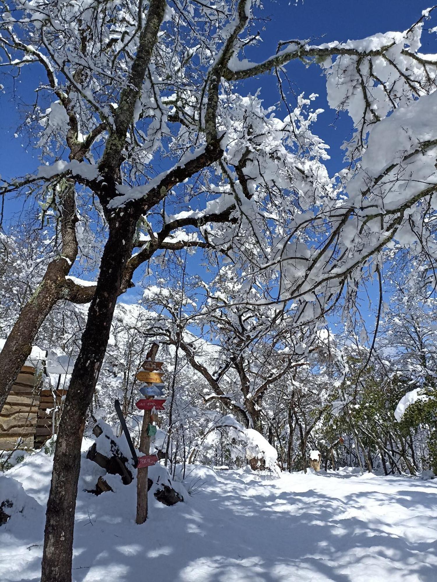 Cabanas Huilipan Las Trancas Esterno foto