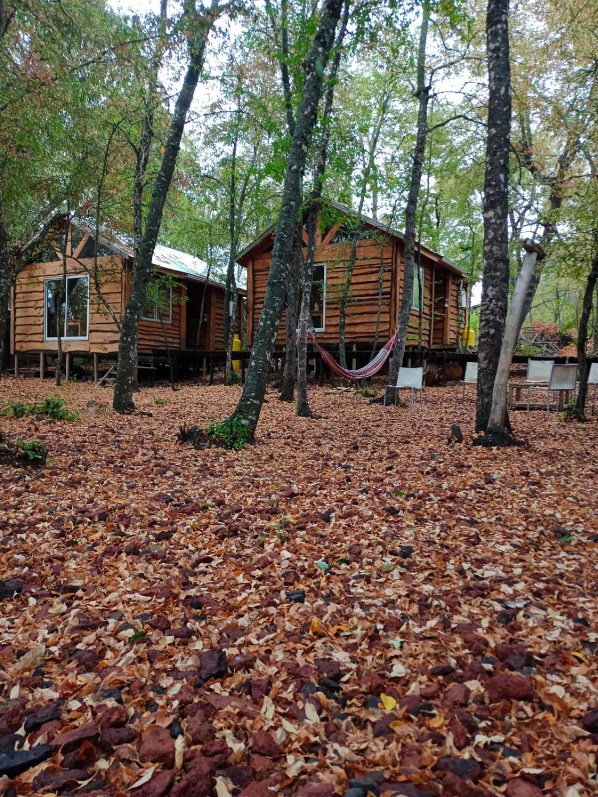 Cabanas Huilipan Las Trancas Esterno foto