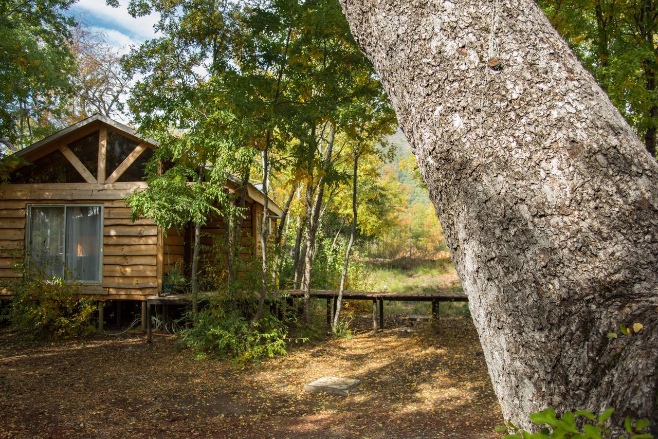 Cabanas Huilipan Las Trancas Esterno foto